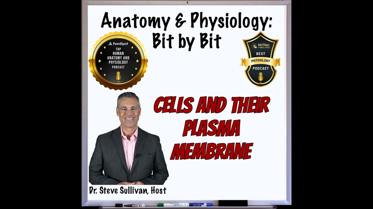 REBOOT: Cells and Their Plasma Membrane: Episode 3