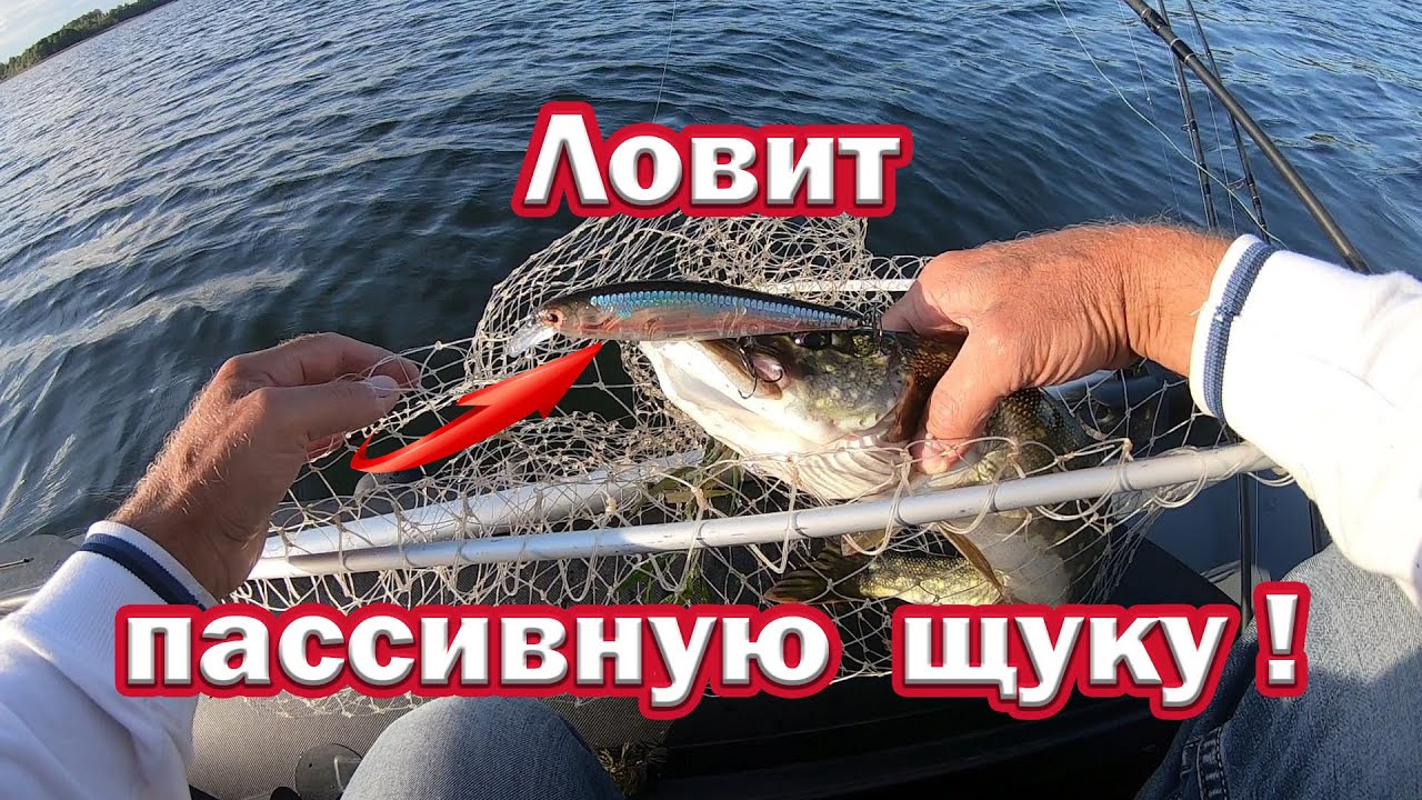 Уловистый воблер с Алиэкспрэсс!!! Воблер однозначно для пассивной щуки. Ловит на медленной проводке.