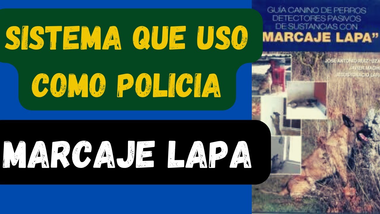 Cómo entrenar un perro detector de drogas sustancias estupefacientes en MARCAJE LAPA.