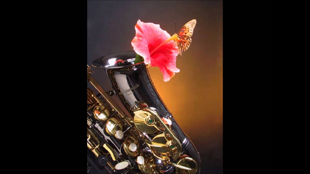 Akif Suleymanbeyli - Flowers (Güllərim)