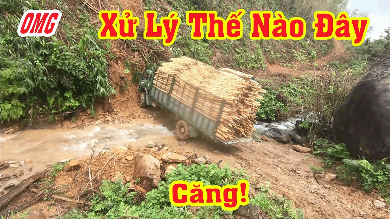 #116  Pha Ôm Cua Xuống Dốc Cực Đỉnh Của Tài Xế Chở Keo Trên Núi |BÍ ẨN RỪNG NÚI