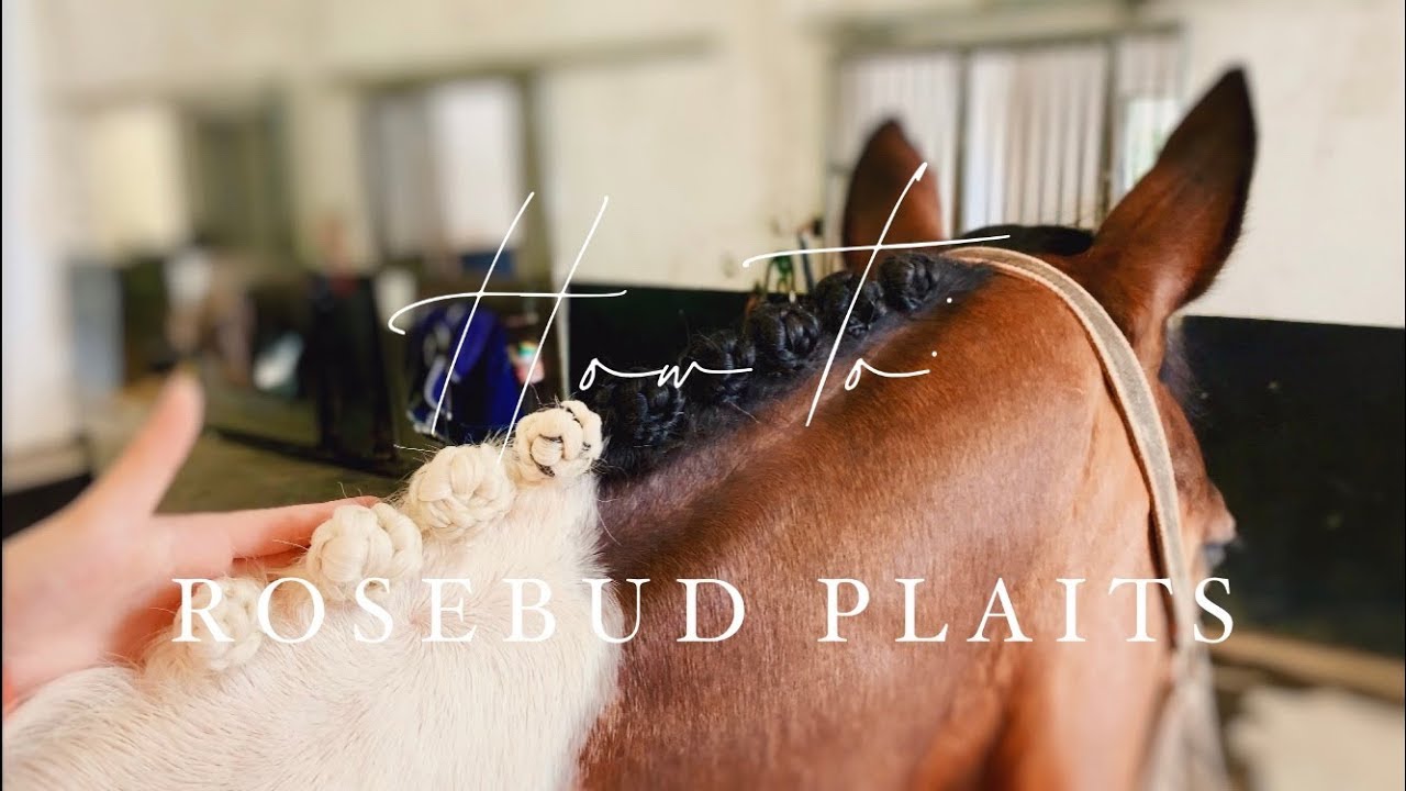 How to: RoseBud Plaits