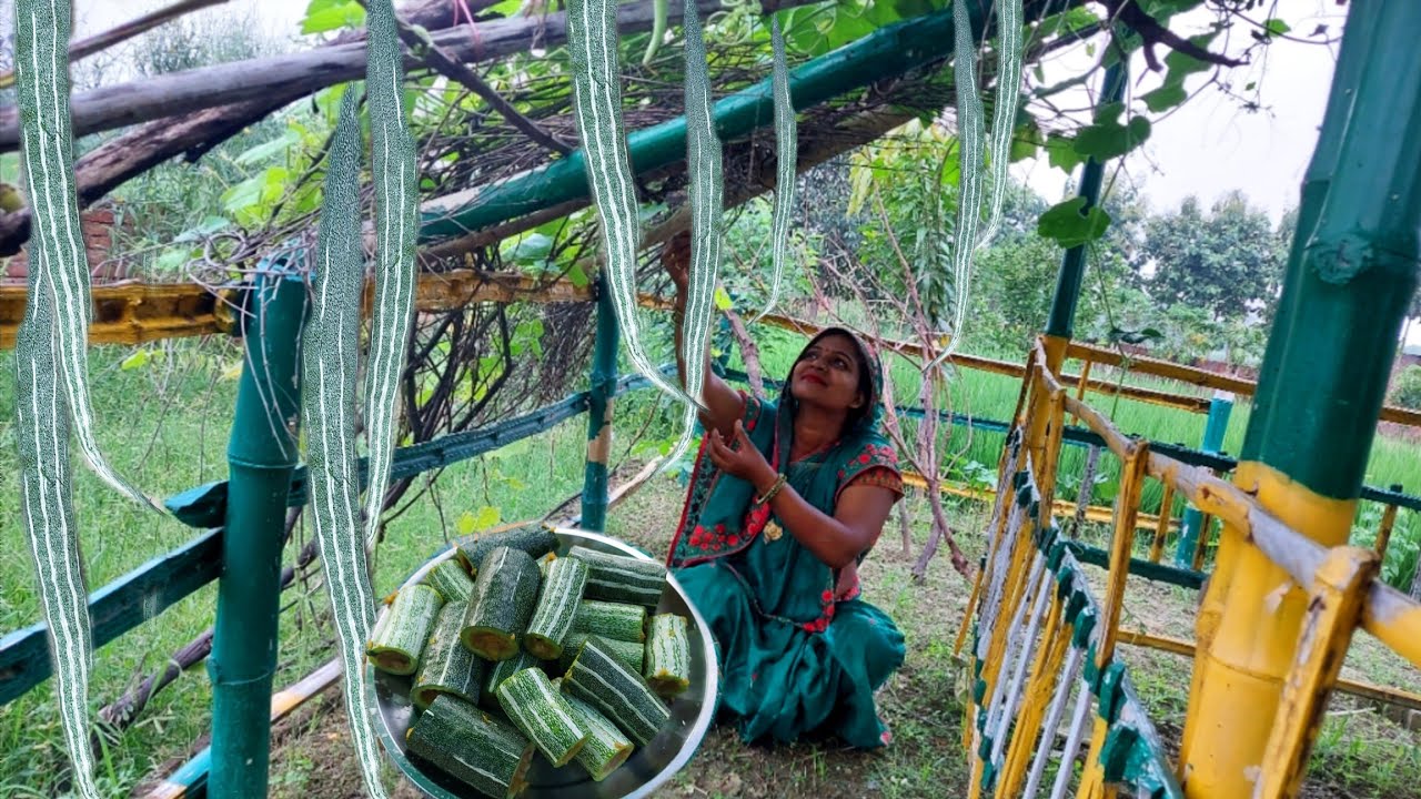 बरसाती चिचड़े की ऐसी रेसिपी दाल चावल पर मिल जाये या पराठे के साथ मिल जाये तो खाने में बड़ा मजा आजाये
