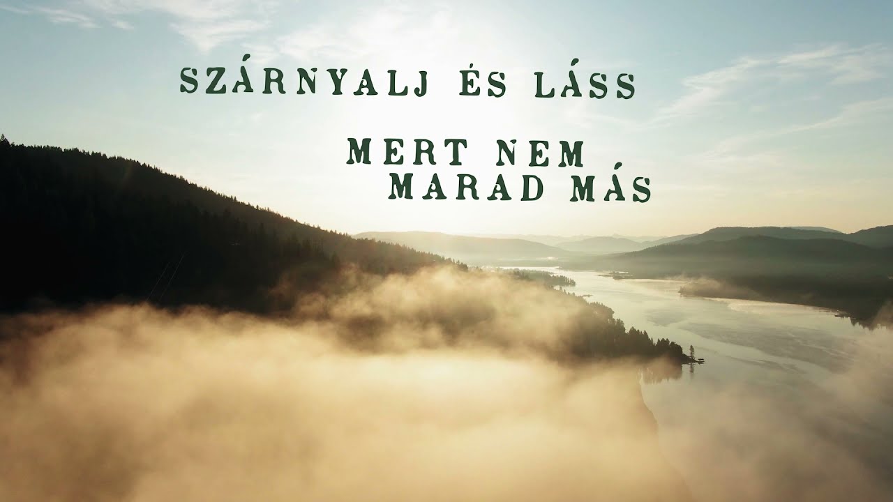 Art of Haven - Szárnyalj és láss (szöveges video 2021.) #artofhaven #sopron #lyricvideo