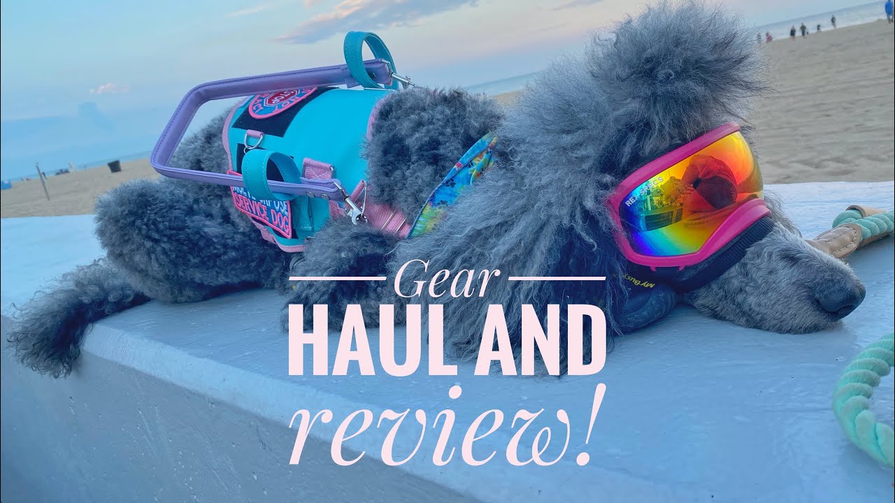 Service dog gear haul and review | Service Dog Clio