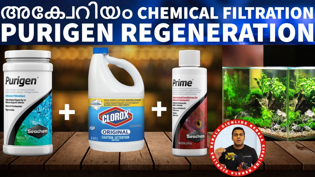 How to use purigen for aquarium water clarity? | Tips for Aquarium water clarity