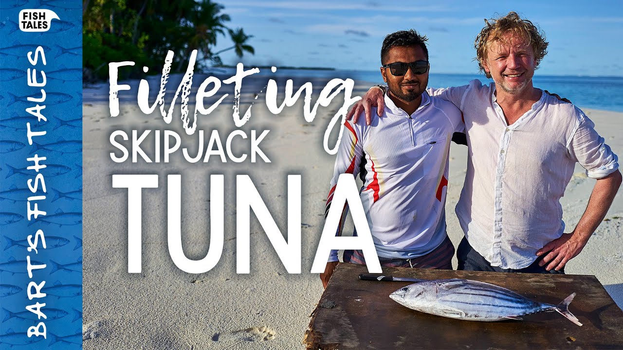 How to fillet a skipjack TUNA | Bart van Olphen