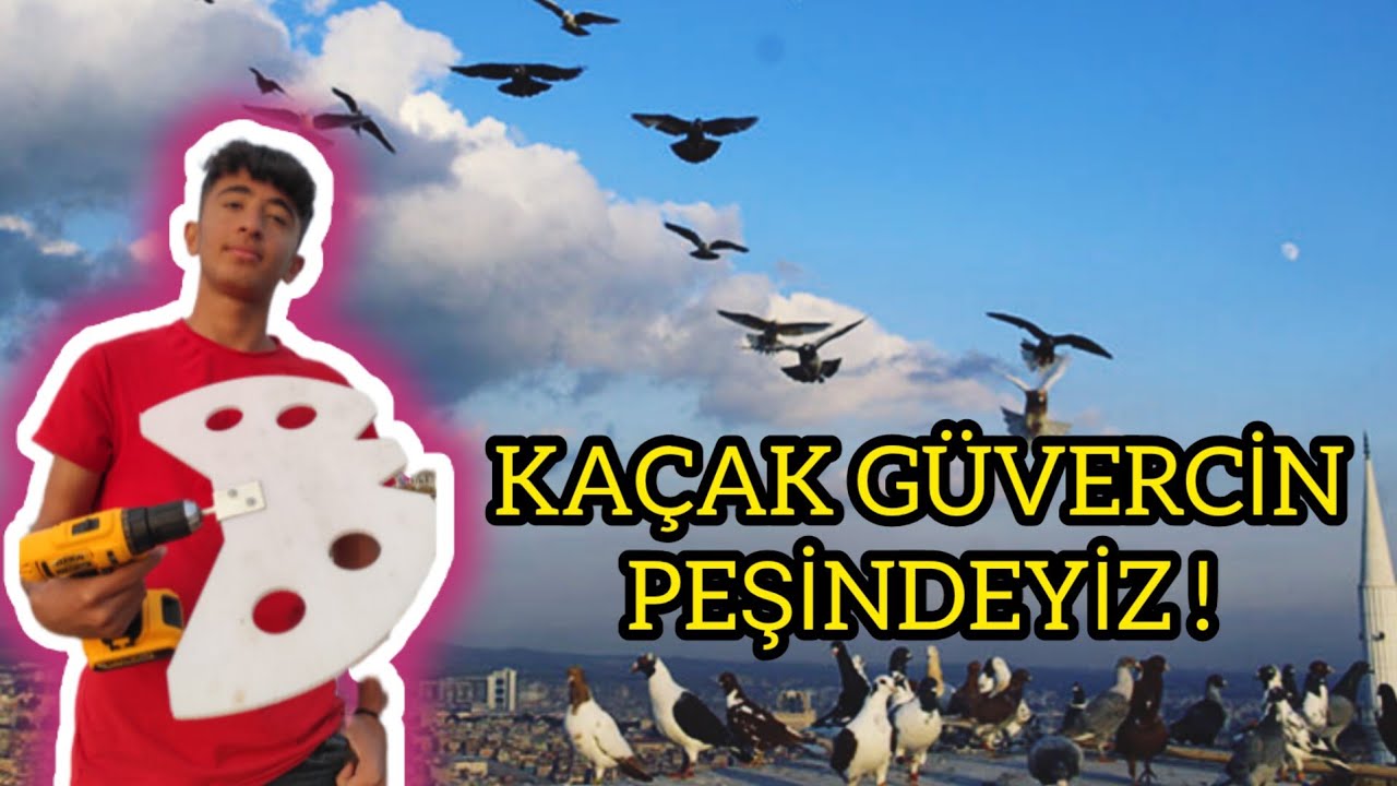KÜÇÜK CAMBAZLA KAÇAK PEŞİNDEYİZ !