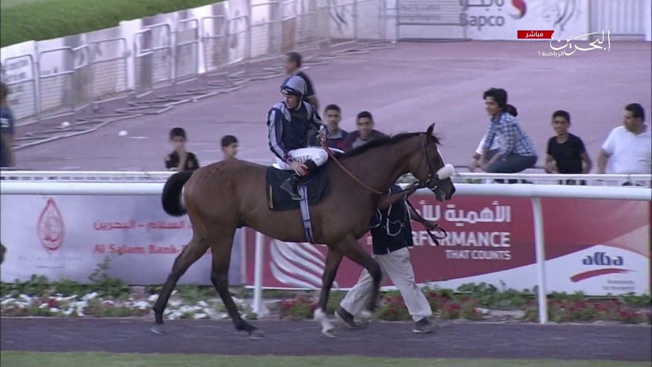 7th Race BAHRAIN JEWELLERY CENTER CUP 21-April-2017