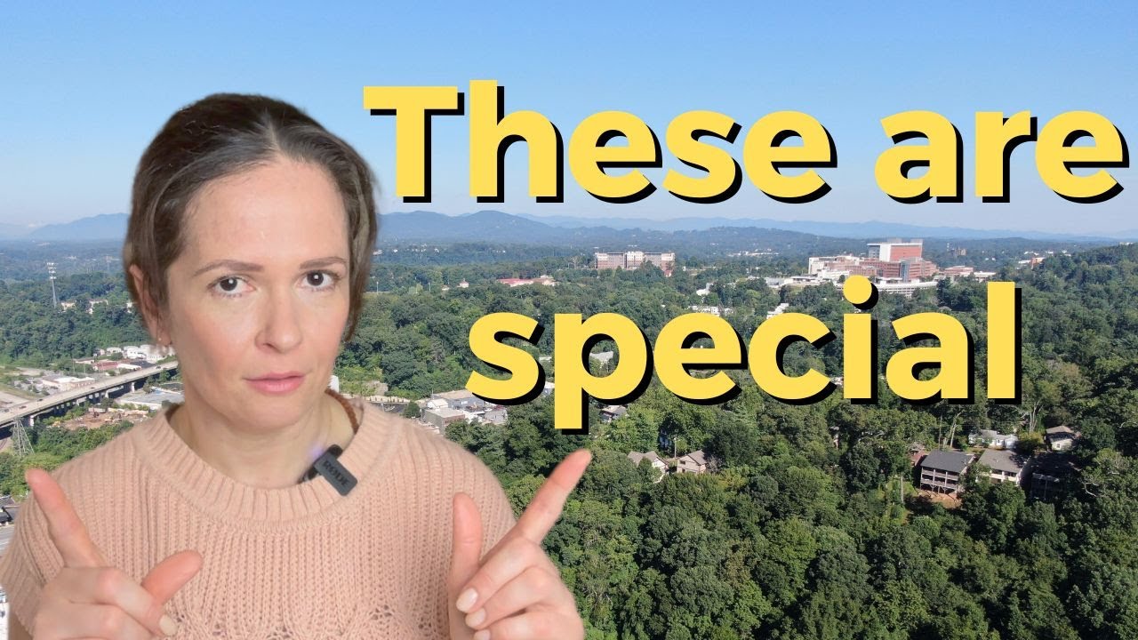 Top 3 most unique neighborhoods in Asheville NC