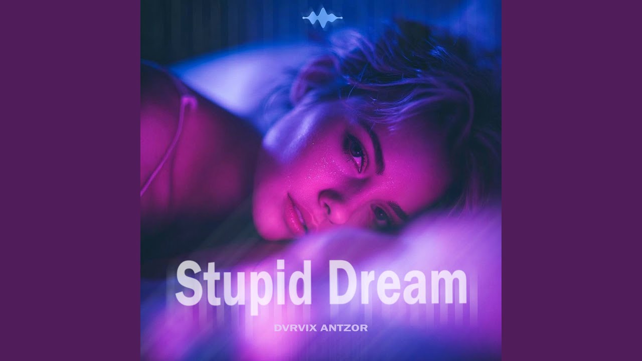 Stupid Dream