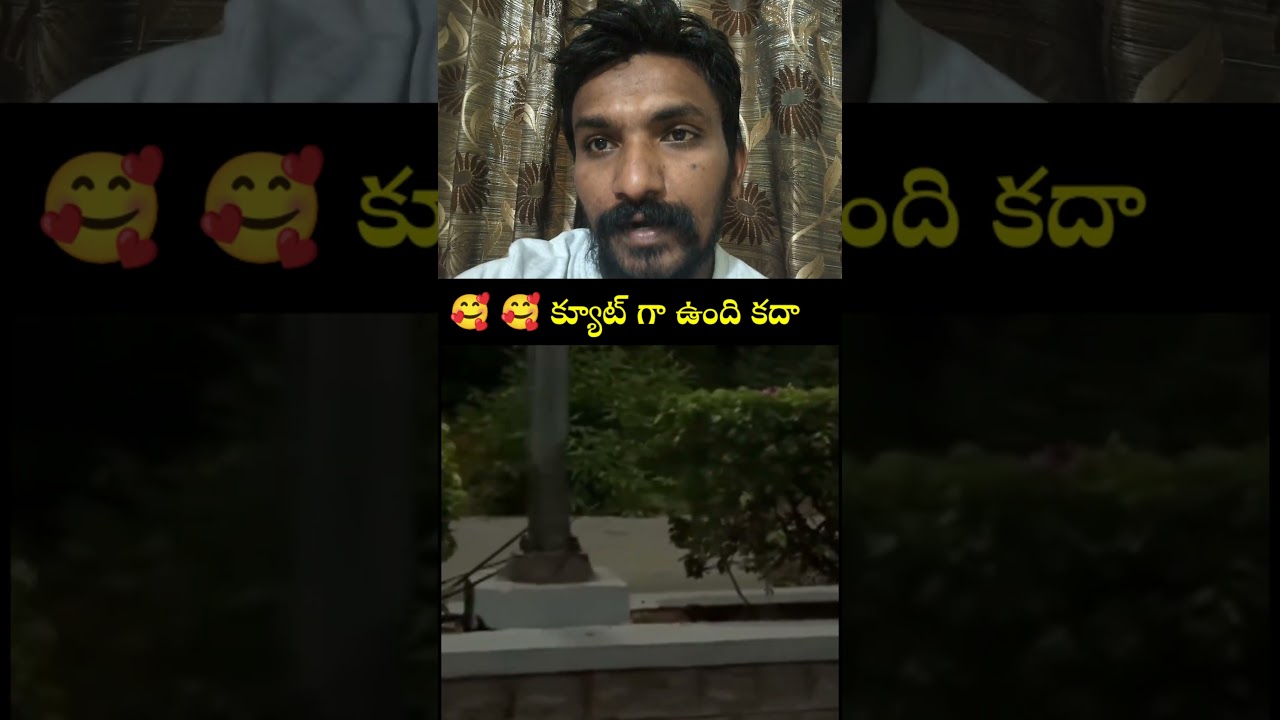 Leopard Spotted at Tirumala | Seshachalam forest