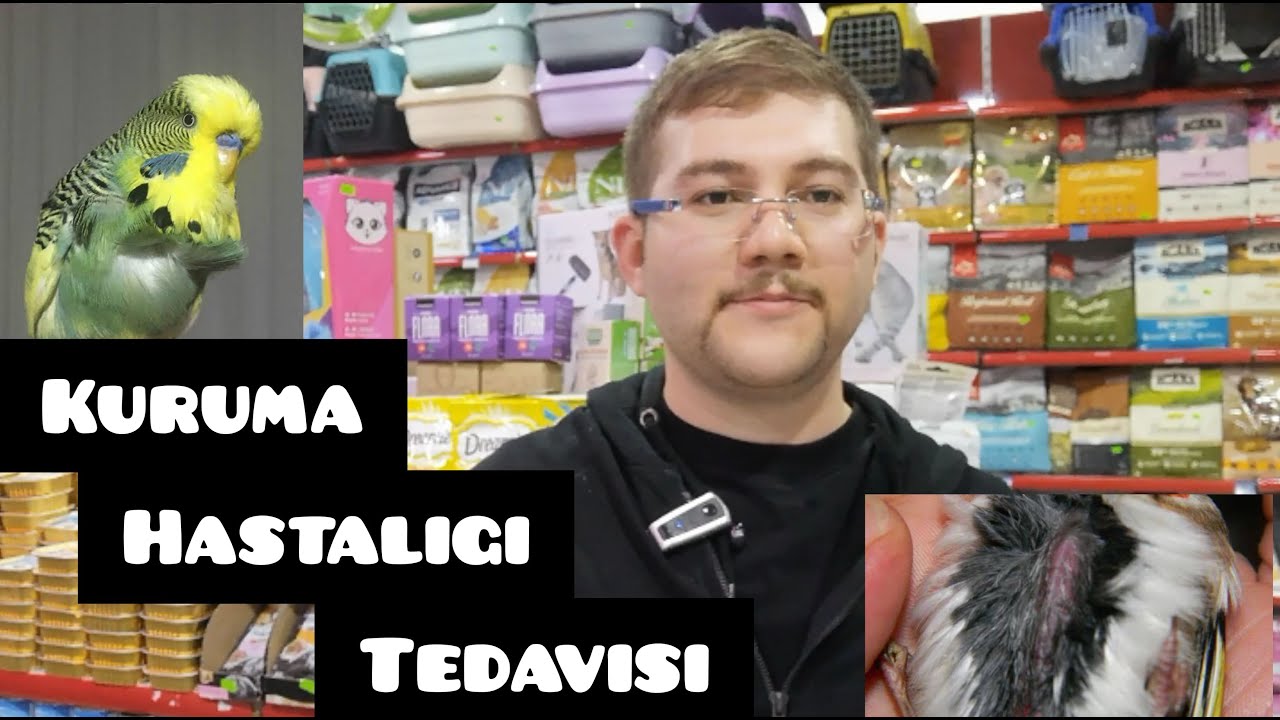 Kuruma Hastalığı Kursak Mantarı (Mega Bakterius) Nedir ve Nasıl Tedavi Edilir?