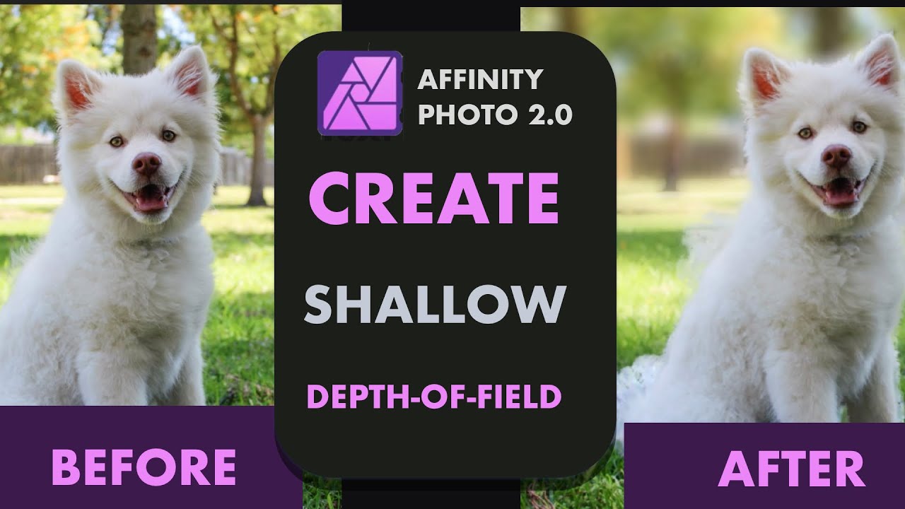 AFFINITY PHOTO 2.0: HOW TO CREATE SHALLOW DEPTH-OF-FIELD WITH LENS BLUR  FILTER AND COMPOUND MASKS