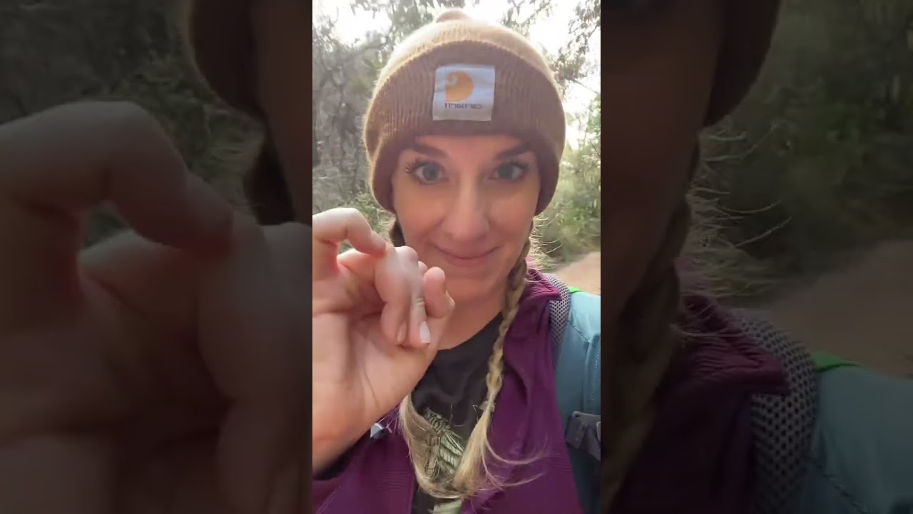 Hiking in the redwoods + talking about BURNOUT in healthcare