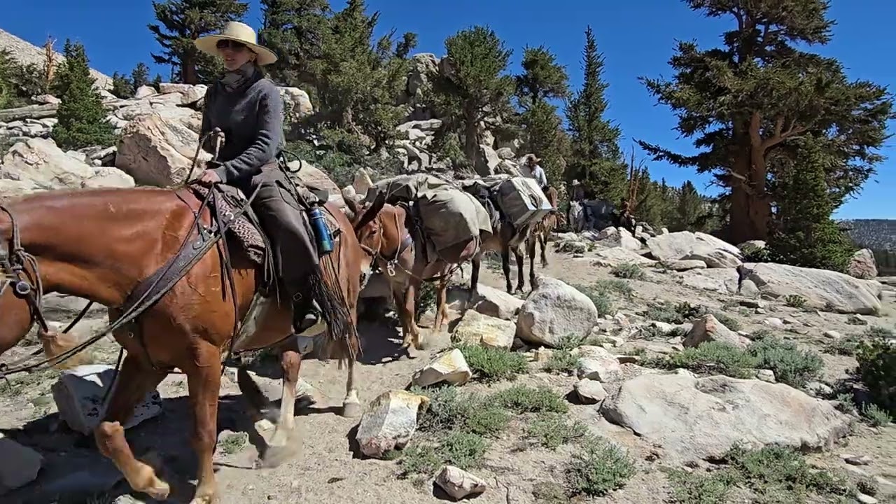 06/30/25-07/04/25 Cottonwood Pass - Miter Basin, Langley, Iridescent, Primrose & Soldier Lakes #4