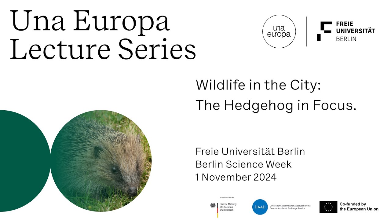 Una.Lecture | Wildlife in the city. Nature preservation in urban areas: the hedgehog in focus.