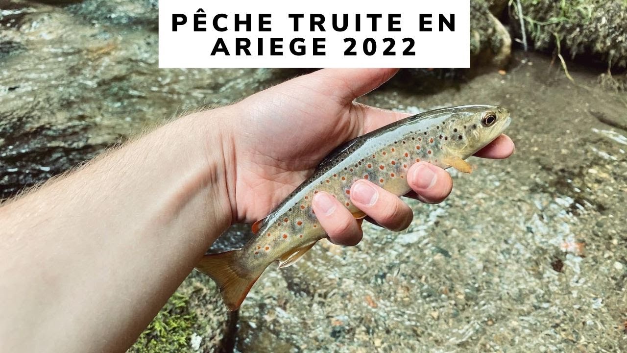 PÊCHE TRUITE EN ARIEGE 2022