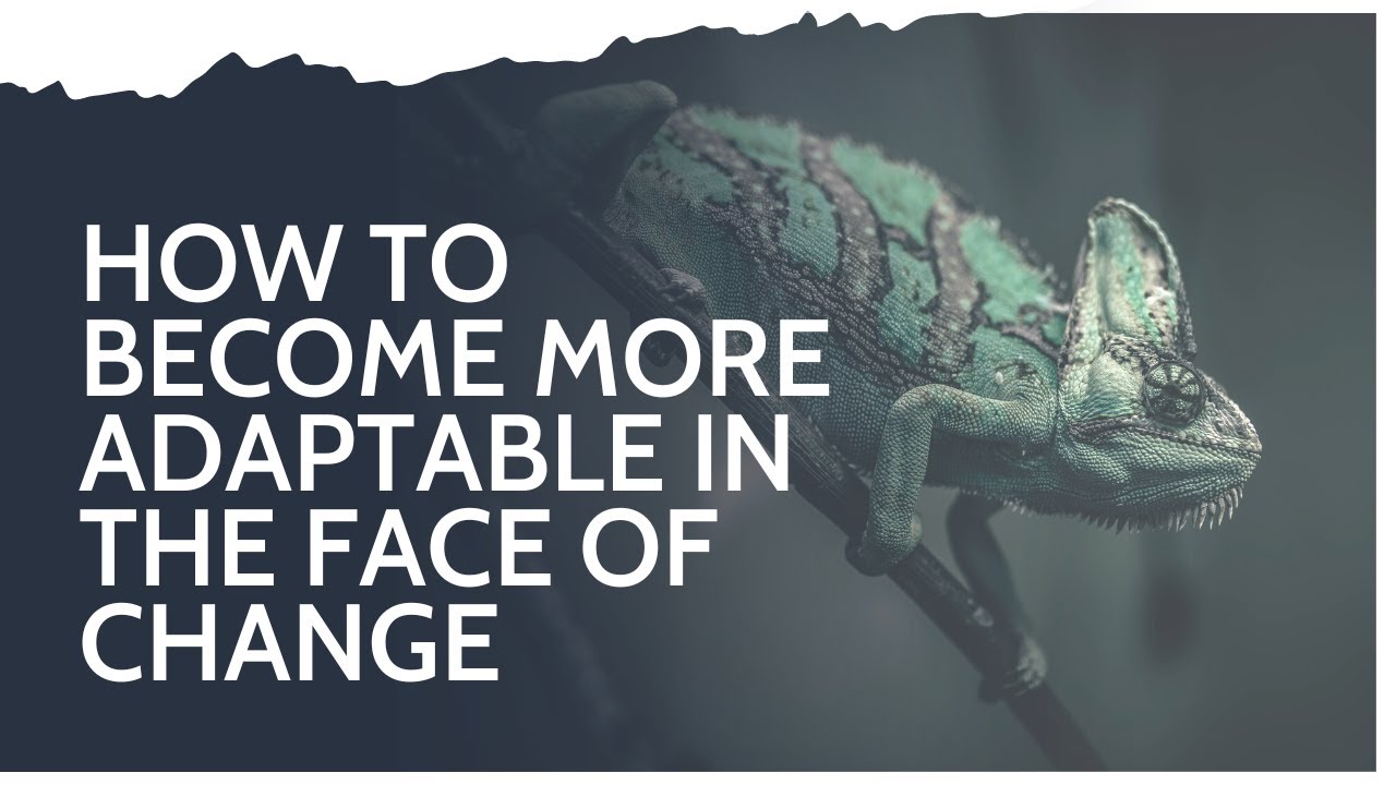 How to become more adaptable in the face of change with Rich Alderton