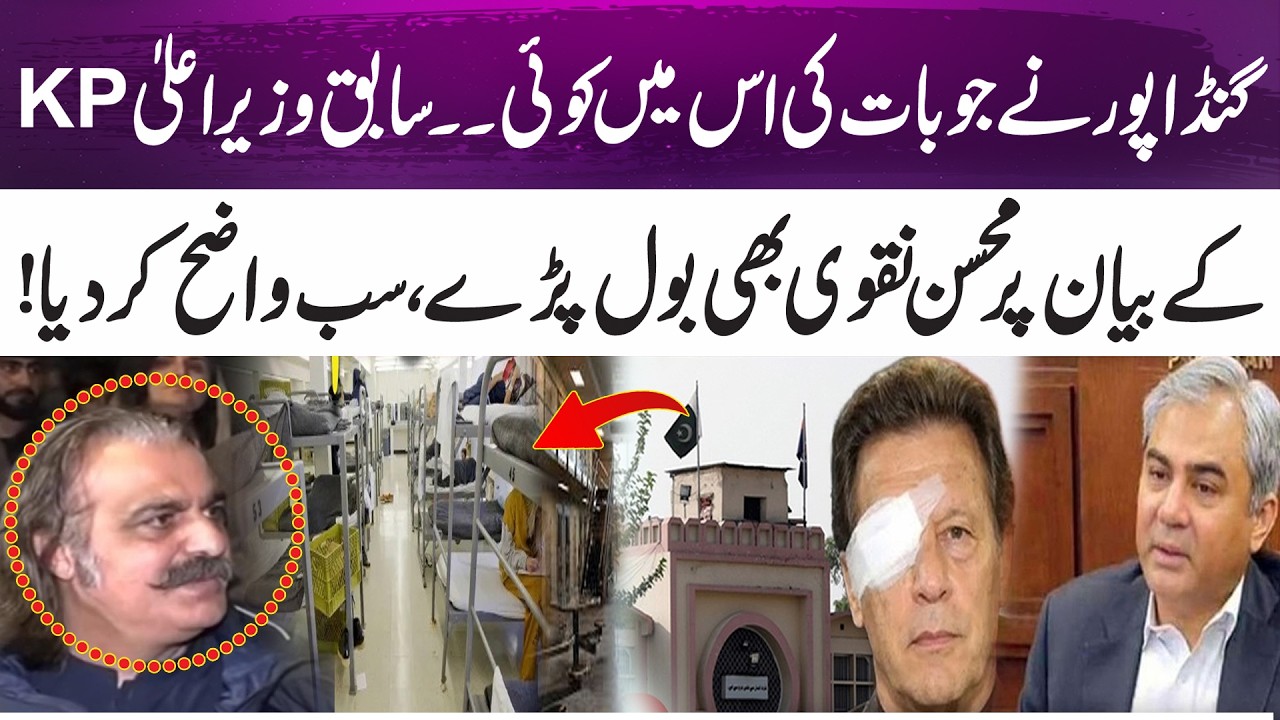 Ali Amin Gandapur&rsquo;s Statement Sparks Response &ndash; Mohsin Naqvi Clarifies the Situation | 365 News