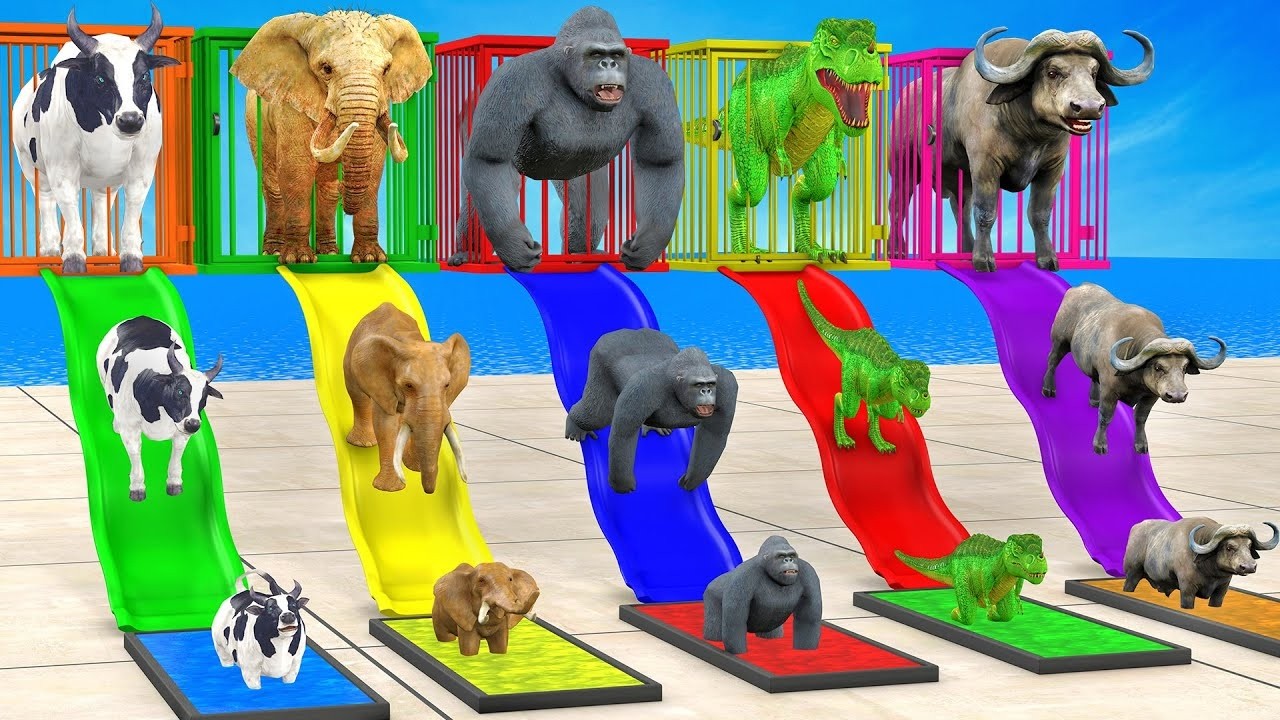 Long Slide Game With Elephant Gorilla Buffalo Hippopotamus Tiger - 3d Animal Game - Funny 3d Animals