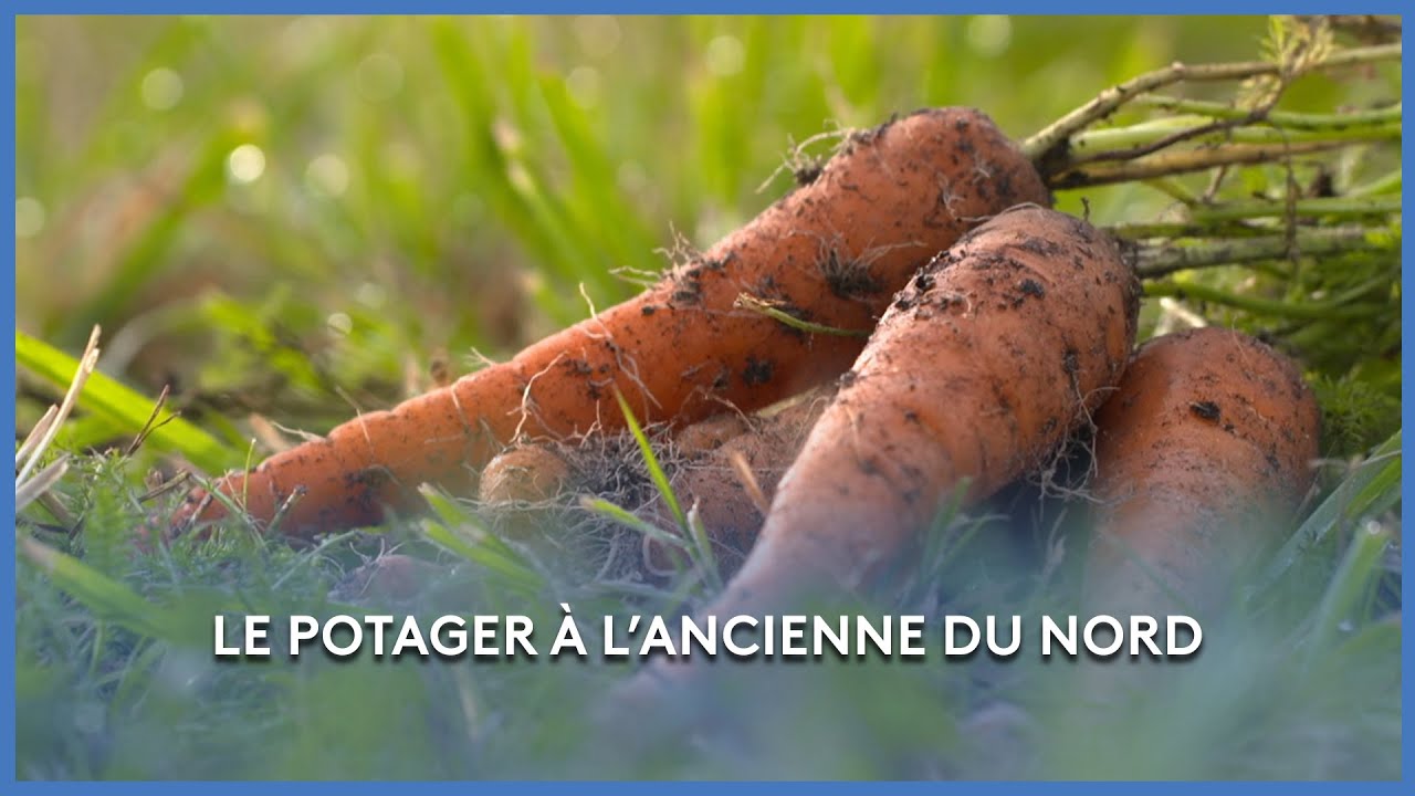 Le potager à l’ancienne du Nord - Les Potagers de Julie