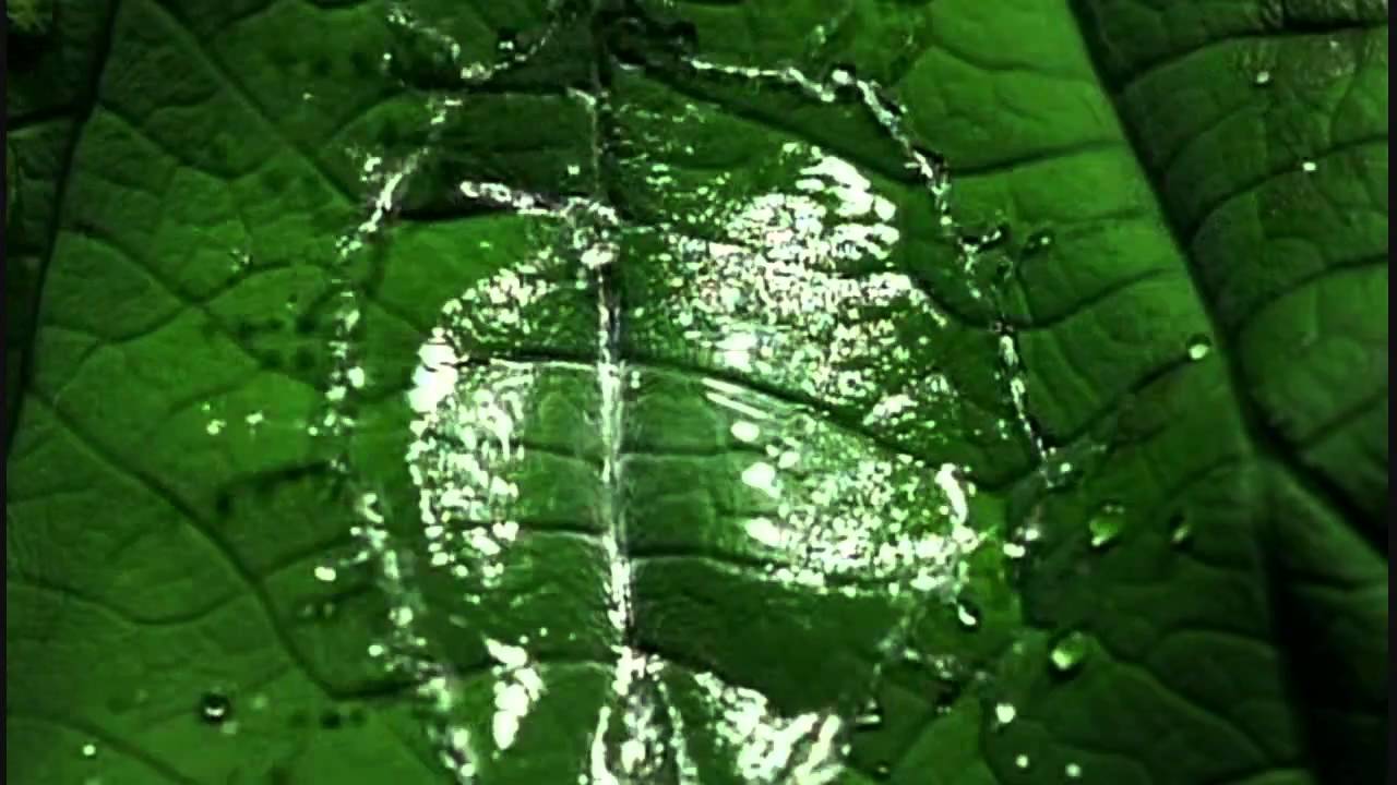 NatureTech : The Material World (BBC) Part 3/4 HD