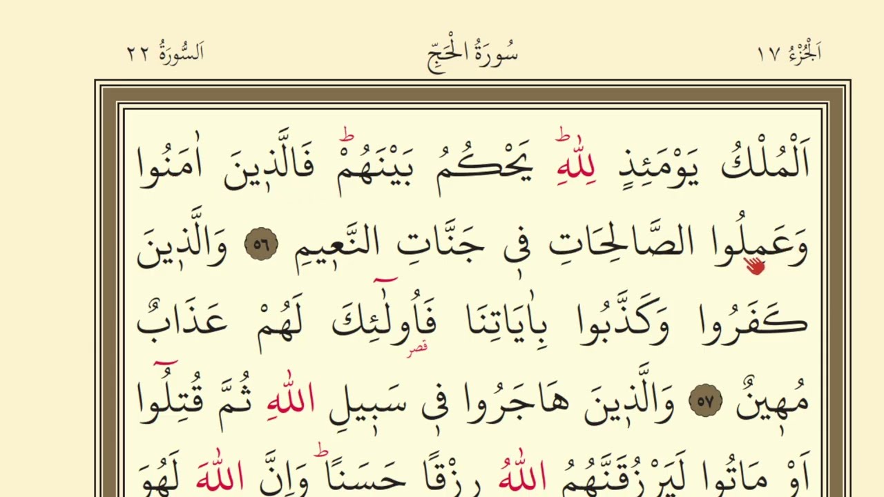 338.DERS | KURANI KERİM SAYFA 338 HAC SURESİ 56-64 / KURAN DERSLERİ / QURAN LESSONS PAGE 338 #quran