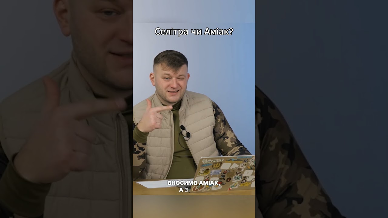 Селітра чи Аміак 🤔 на кукурудзу?