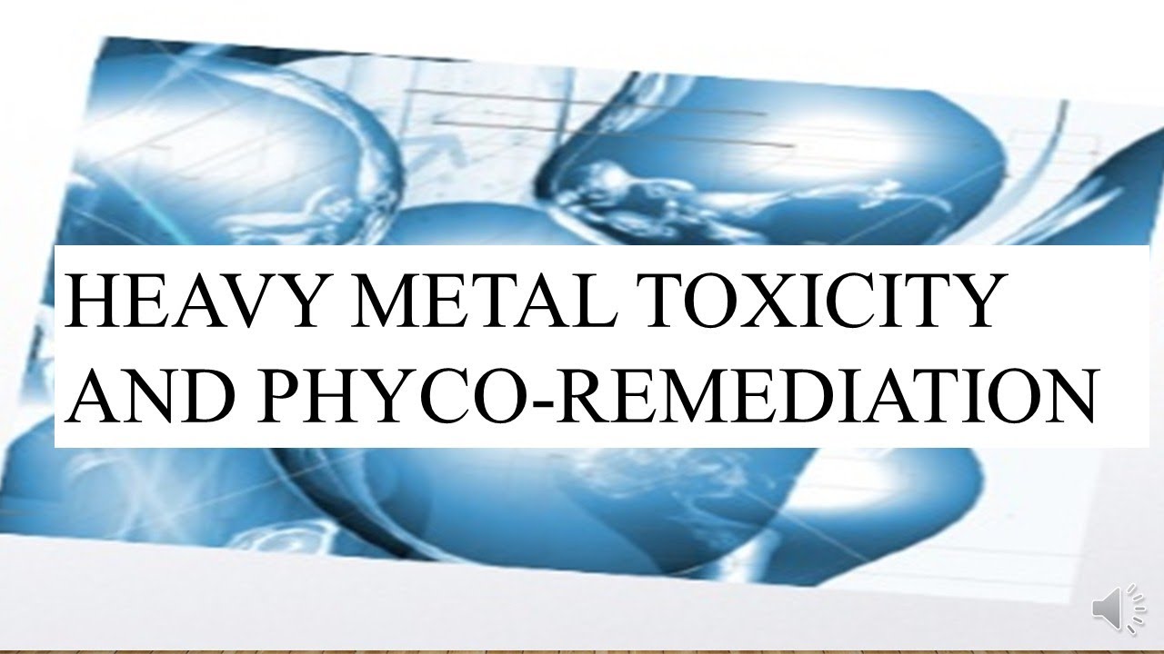HEAVY METAL TOXICITY & PHYCOREMEDIATION