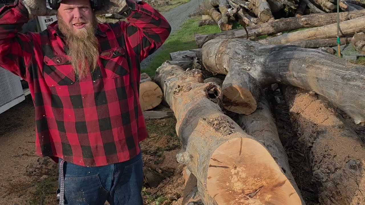 Oregon logging conference trip and cutting while we where down there #viral 