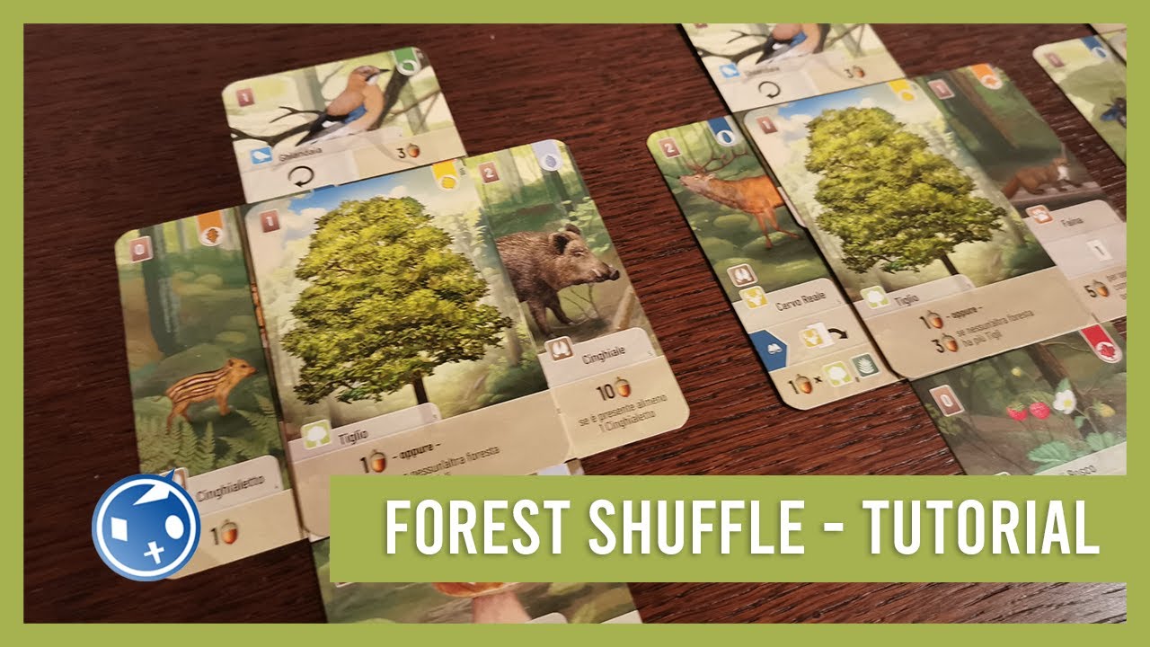 Forest Shuffle - Impariamo a giocare!