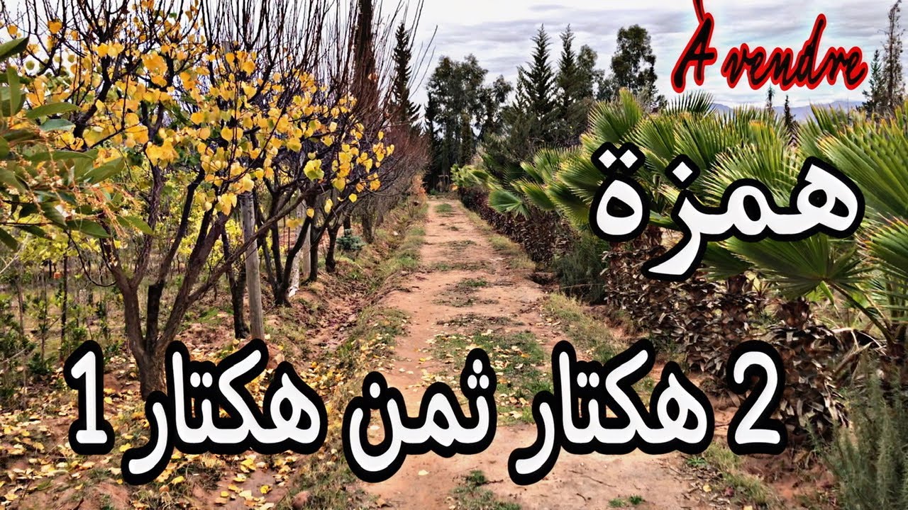 أرض للبيع نواحي أوريكة غمات