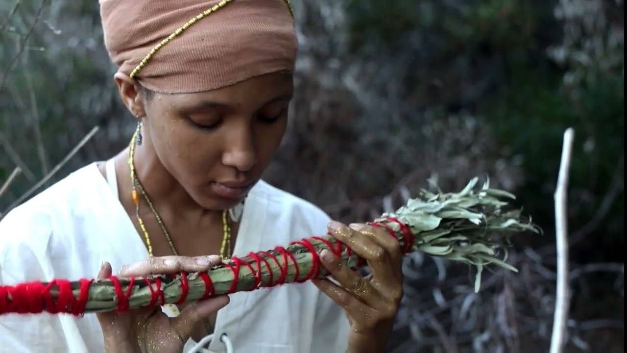 The Evolution of Adreanna Sunsh7ne (Official Video)