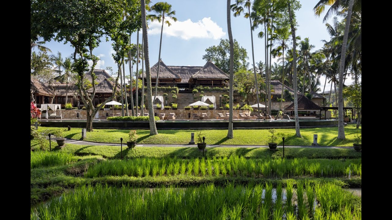 Luxury Village Resort 