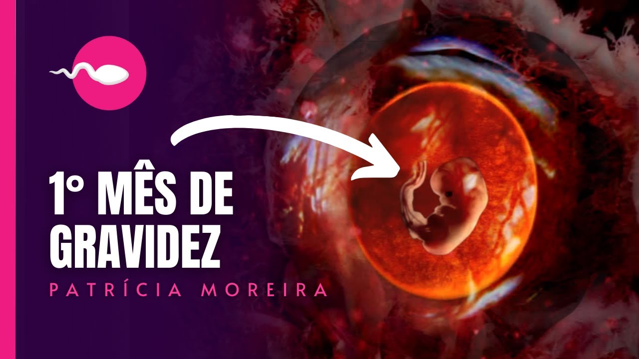 1&deg; M&Ecirc;S DE GRAVIDEZ - Semanas 1, 2, 3, 4 | O que acontece no primeiro m&ecirc;s de gravidez