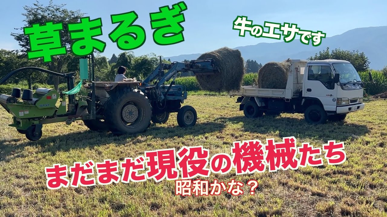 古い機械のお披露目（牧草を集める）
