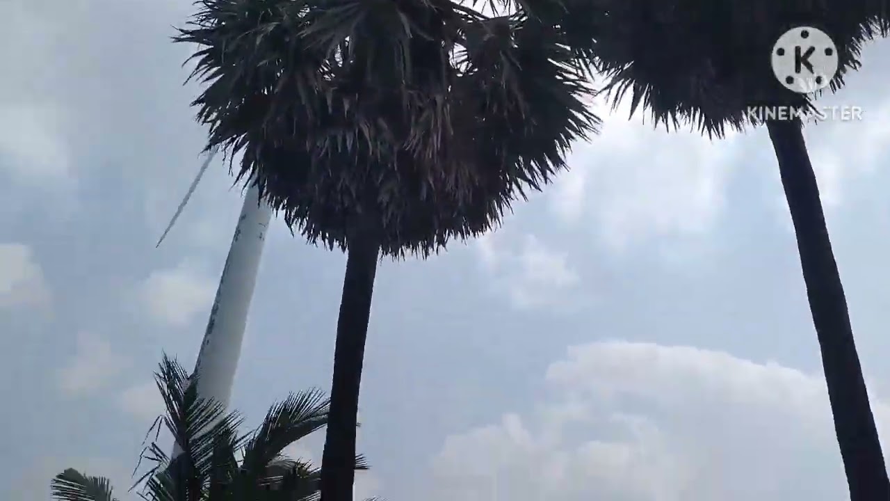 Deal-136.   3 Acre's Coconut, House, well, pour well, Free Service. Sold out.