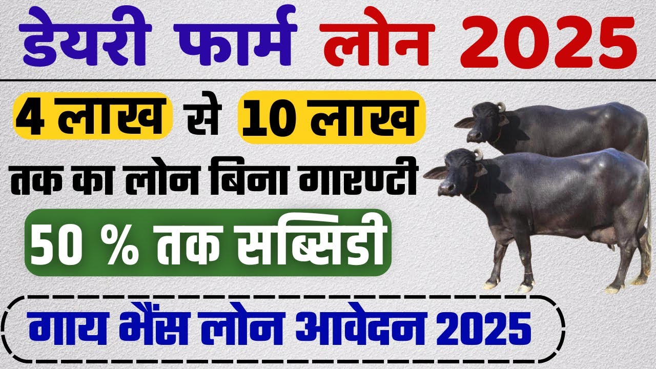 पशुपालन डेयरी लोन योजना 2025 | गाय भैंस लोन लेने के लिये आवेदन कैसे करें 2025