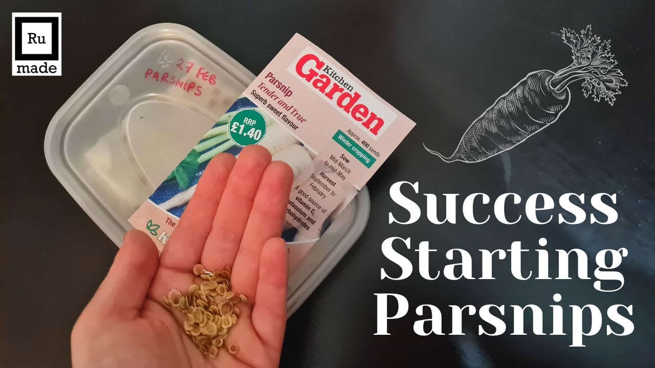 Struggling to Get Parsnips Started? You Need This Foolproof Technique