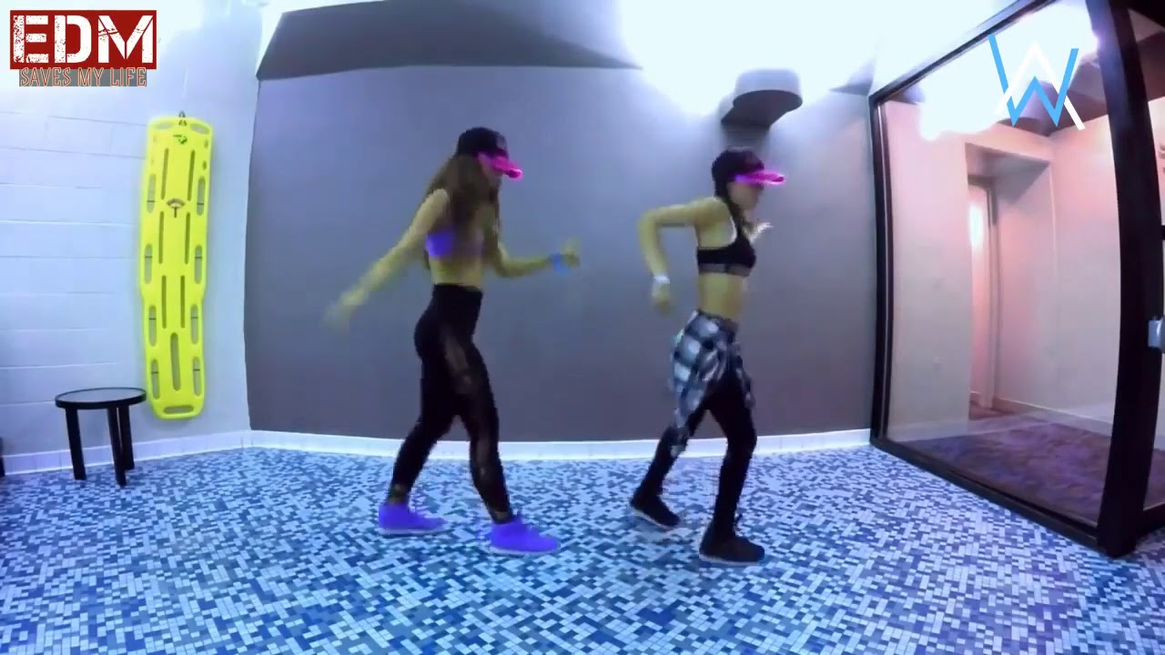 Alan Walker EDM 2017 Cute Shuffle Dance Video  Electro House Music