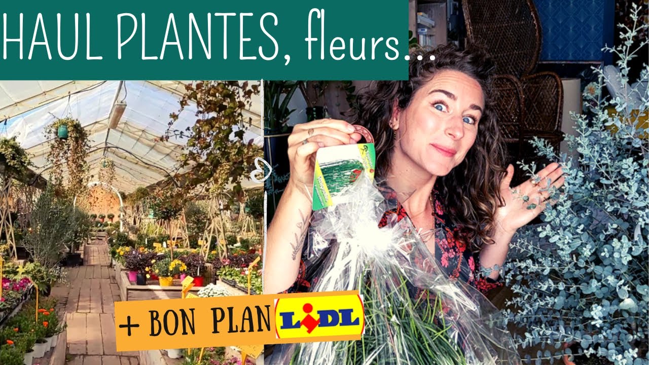 Découverte d'une sublime pépinière, Achats Plantes, Nouveautés Lidl & Plantabox !