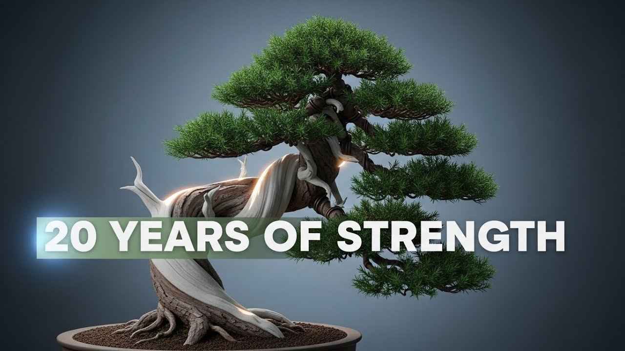 Juniper Bonsai Transformation | From Cutting to Timeless Art