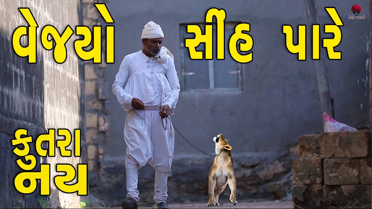 સિંહ પારવો | દેશી વિડિયો  | Gujarati Comedy Video | Desi Paghadi