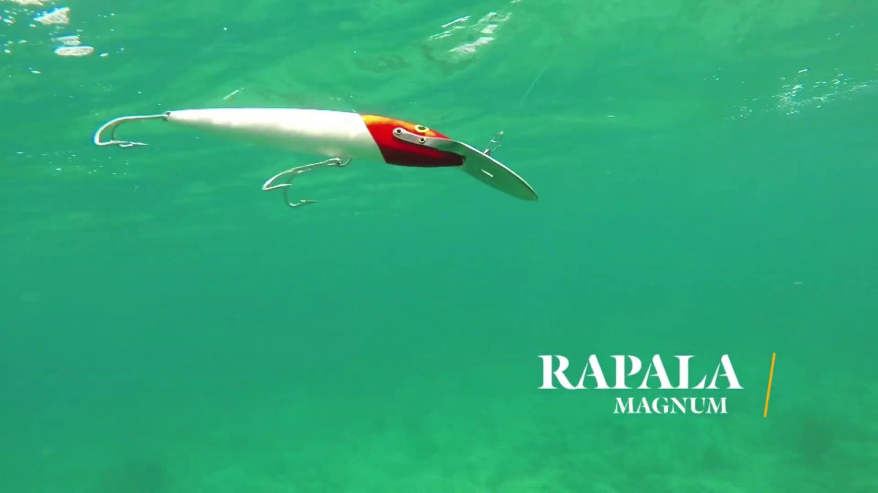How Lures Swim: Rapala Magnum