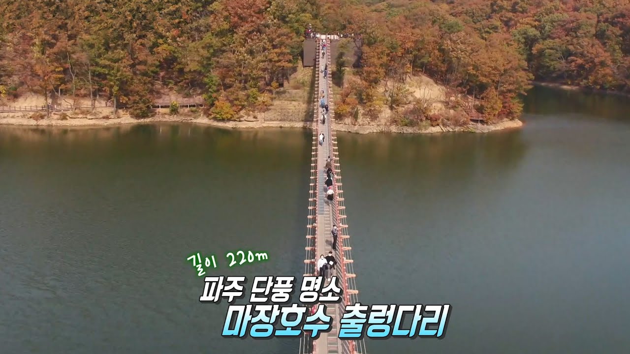 길이 220m! 가을 정취 가득한 &lsquo;마장호수 출렁다리&rsquo;