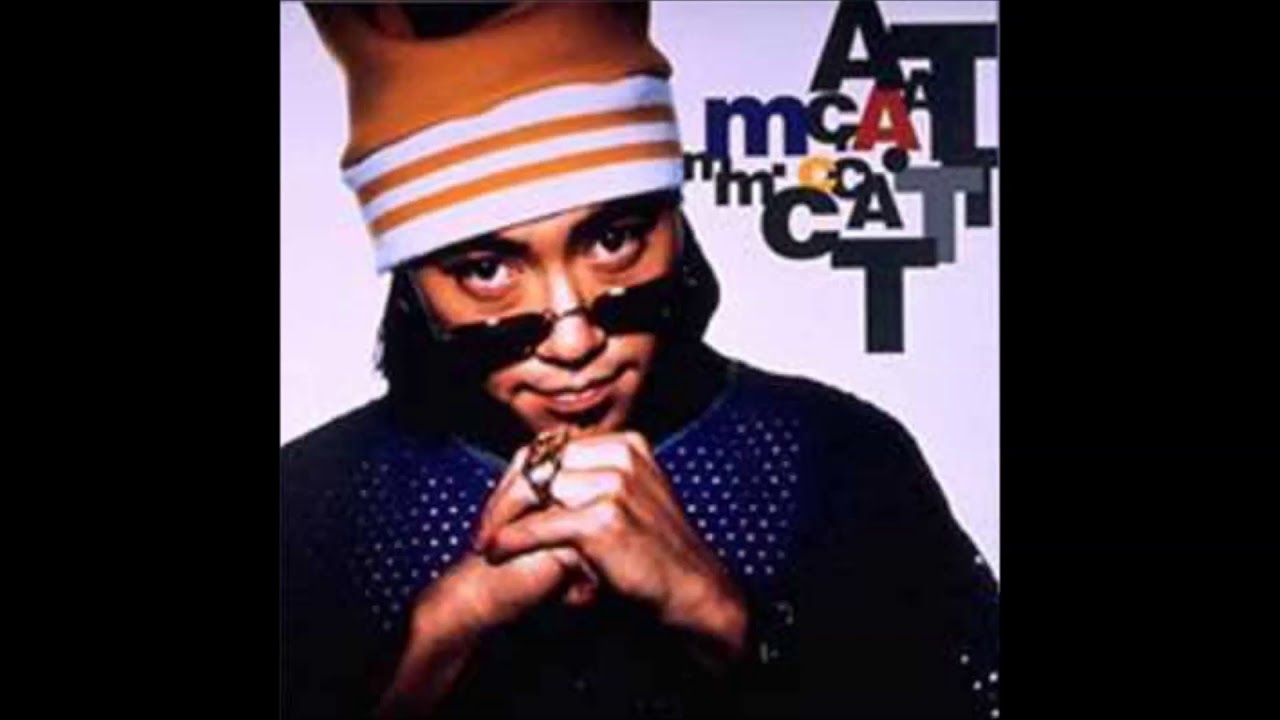 m.c.A・T IS 2 FUNKY (2nd FUNK-TION mix)