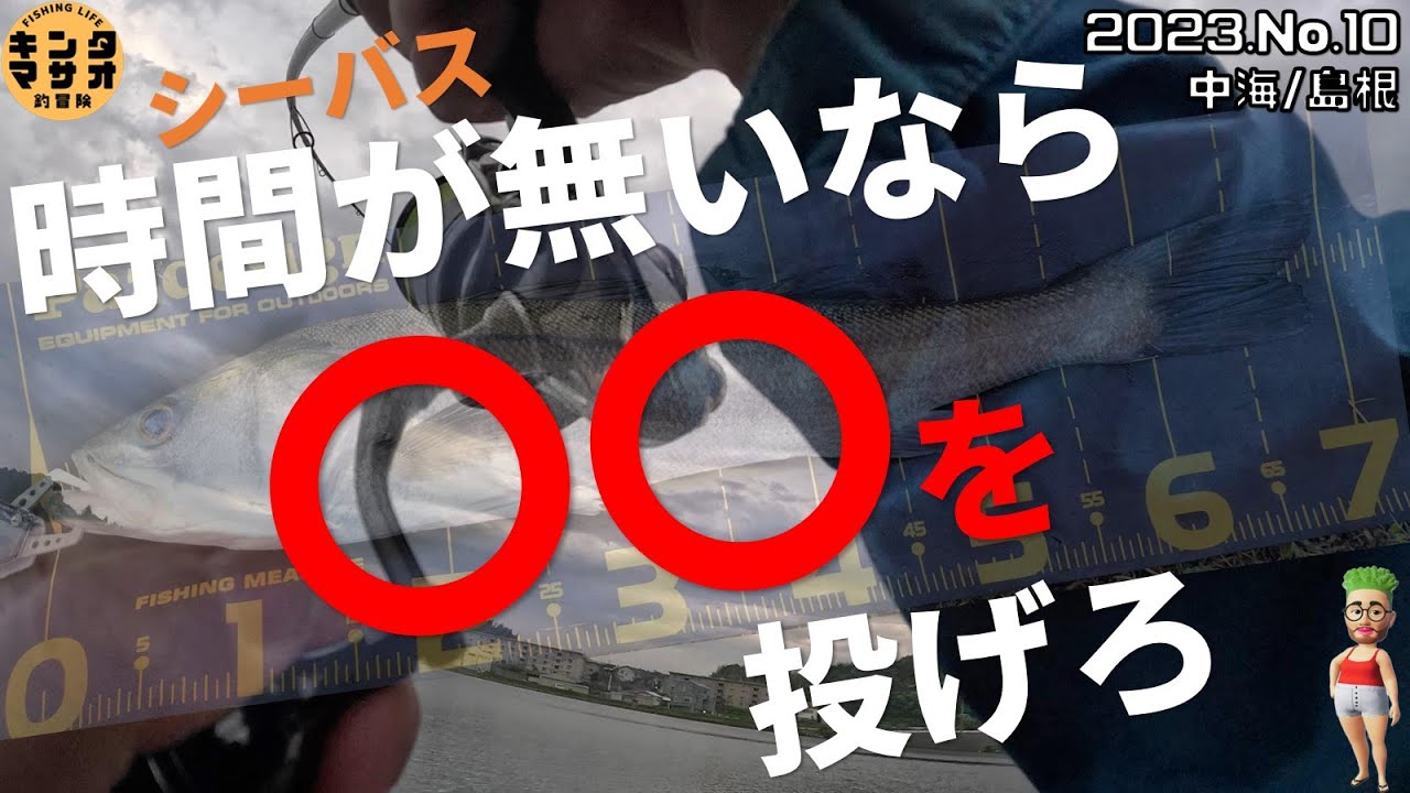時間が無いなら〇〇を投げろ【中海/宍道湖・島根(山陰釣り)】中海シーバス　ルアーフィッシング