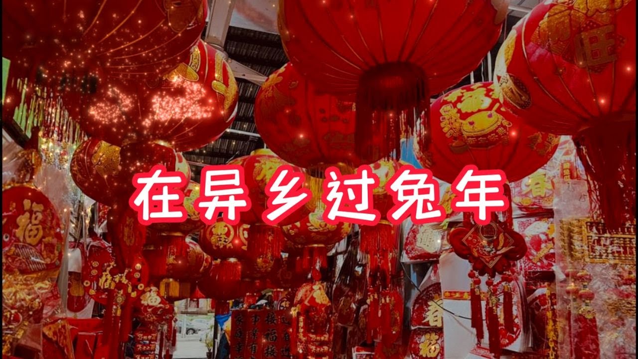 白斩鸡? 红烧猪肉? 炒杂菜? /外国过农历年 / A Very Happy Chinese New Year from Oxford England / #goodmorningunclenam