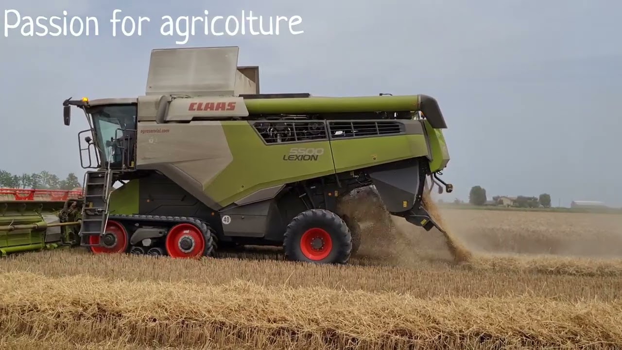 TREBBIATURA GRANO | Claas Lexion 5500 + Claas Vario 770